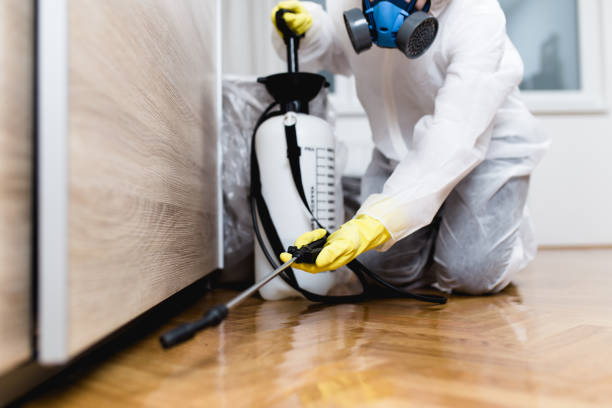 Best Pest Control Near Me in Goodrich, MI