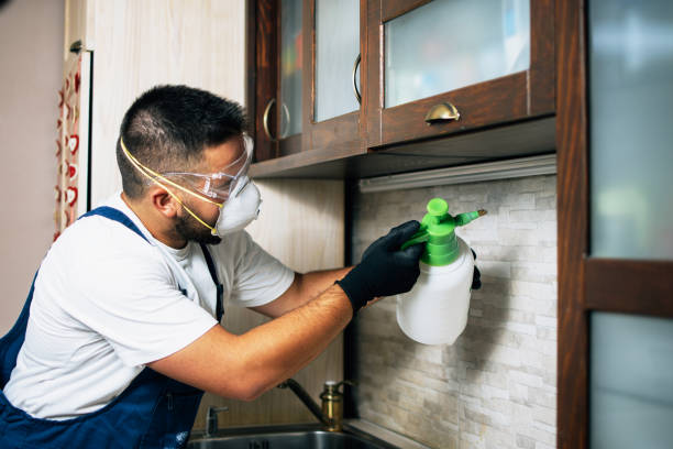 Best Affordable Pest Control Services  in Goodrich, MI