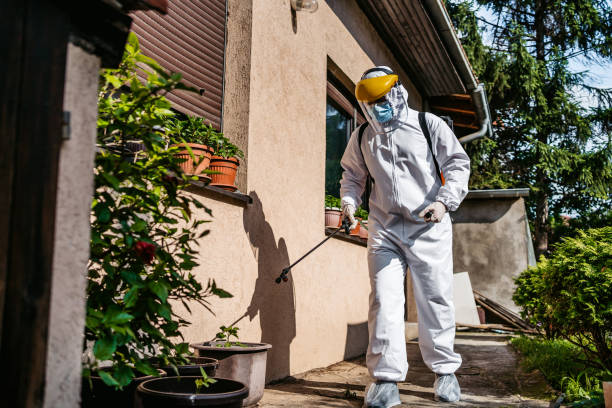 Best Bed Bug Extermination  in Goodrich, MI